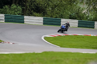 cadwell-no-limits-trackday;cadwell-park;cadwell-park-photographs;cadwell-trackday-photographs;enduro-digital-images;event-digital-images;eventdigitalimages;no-limits-trackdays;peter-wileman-photography;racing-digital-images;trackday-digital-images;trackday-photos